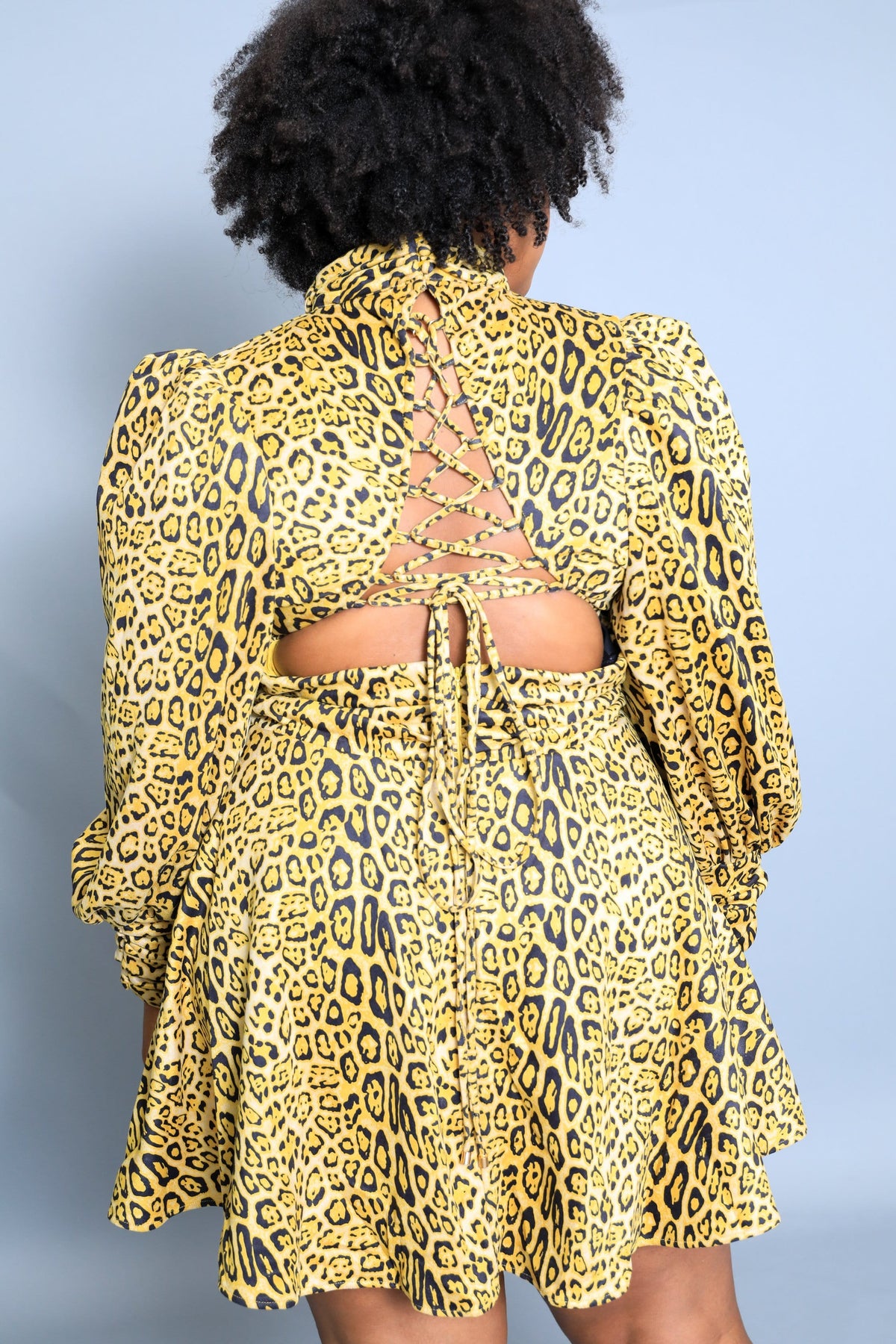Zara Leopard Print Mock Neck Mini Dress (Curvy)